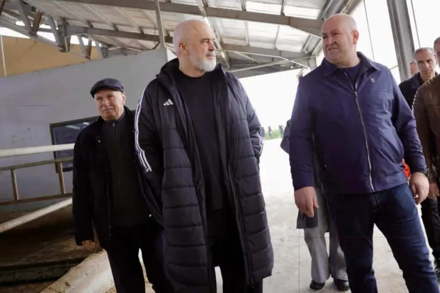 Divjakë, në fermën blegtorale “Vjen”, një model sukses në prodhimin e produkteve vendase