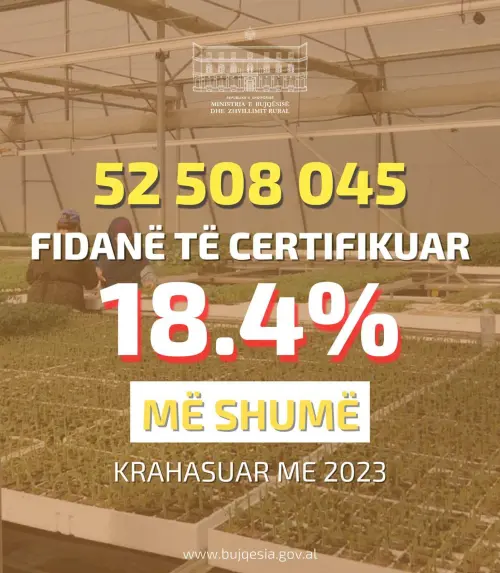 Çertifikohen 52.5 mln fidanë gjatë vitit 2024 , 18.5% më shumë se në 2023