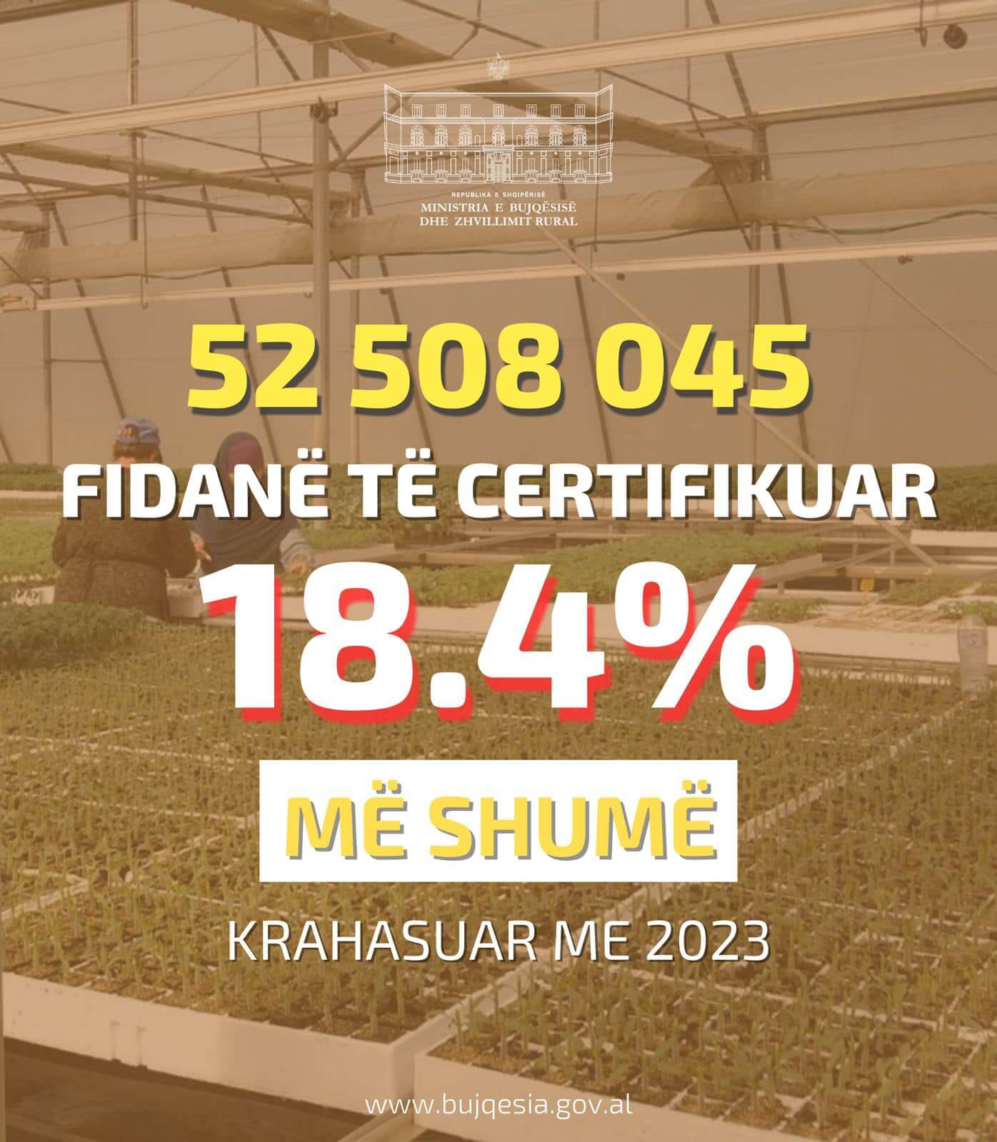 Çertifikohen 52.5 mln fidanë gjatë vitit 2024 , 18.5% më shumë se në 2023
