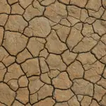 Ngrohja Globale: Alarmi i ndryshimeve klimatike për planetin Tokë