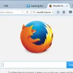Mozilla Firefox, shfletuesi web që sfidoi Microsoft Internet Explorer në 2004