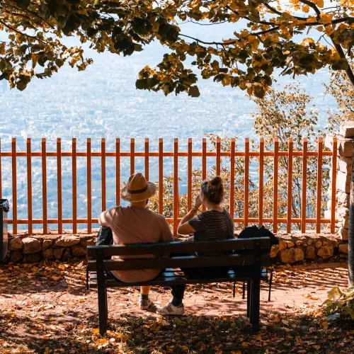 Bukuria e Dajtit: Një Mrekulli e Natyrës