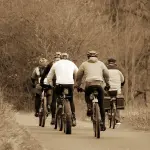 Si të zhvilloni zakone të shëndetshme gjatë vjeshtës së 2023