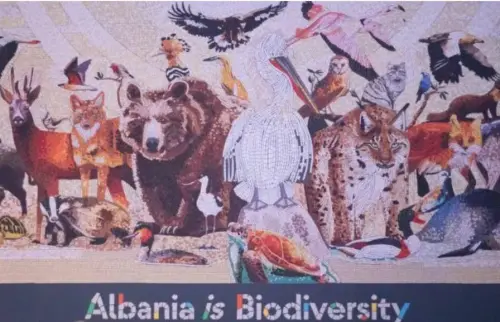 `Shqipëria është biodiversitet`/Panairi i hapur në Tiranë