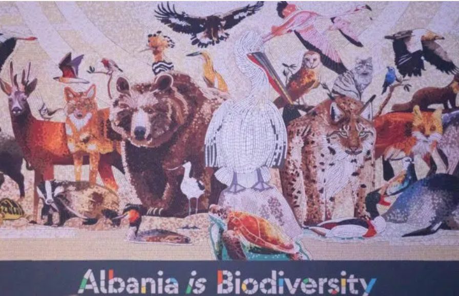 `Shqipëria është biodiversitet`/Panairi i hapur në Tiranë