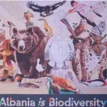 `Shqipëria është biodiversitet`/Panairi i hapur në Tiranë