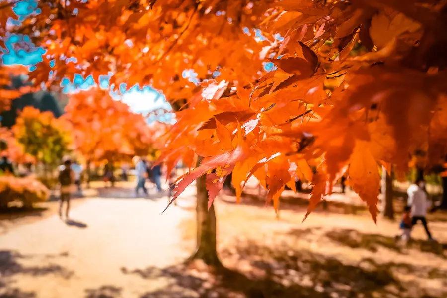 14 destinacione europiane që duhet t'i vizitoni në periudhën e vjeshtës