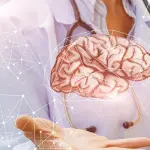 Truri i femrave apo i meshkujve?- Këto janë dallimet midis tyre