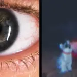 Studiuesit rindërtojnë mjediset 3D duke përdorur reflektimet e syve