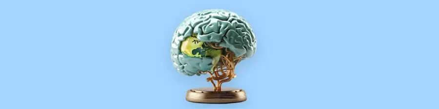 Dita Botërore e Trurit : Kujdesi që nis nga mendja